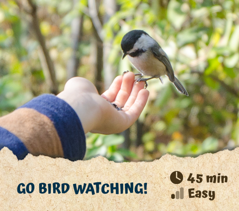 Go Bird Watching! Go Bird Watching!