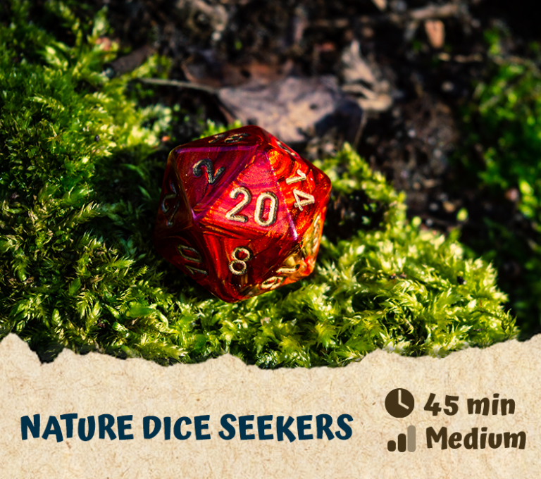 Nature Dice Seekers