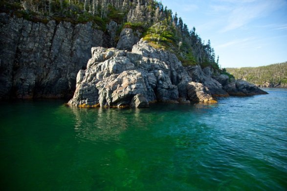 Remerciement de photo : Parcs Canada / D. Wilson