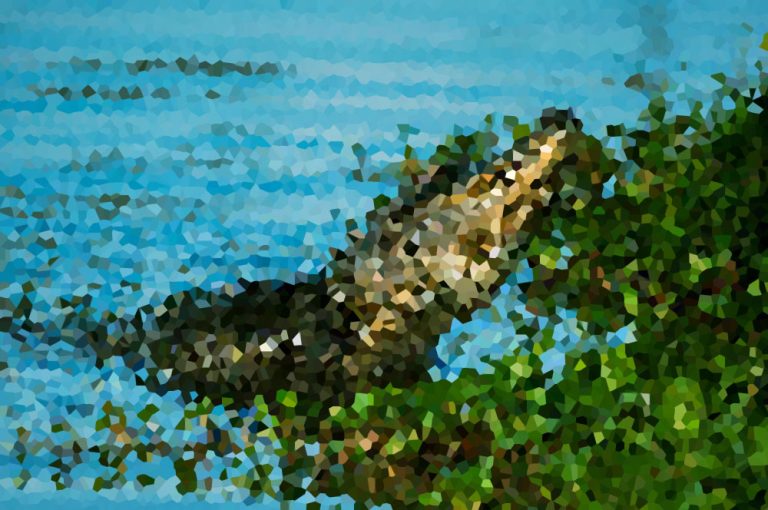 Pixel Puzzler #55: The Great Reveal