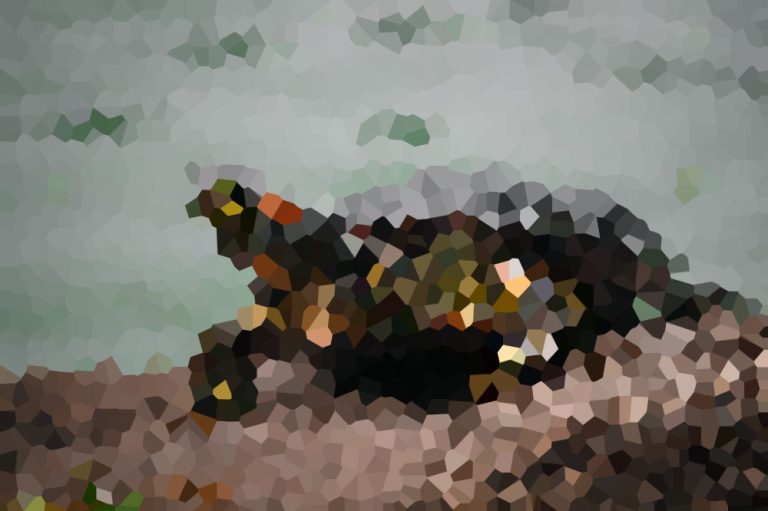 Pixel Puzzler #48: The Great Reveal