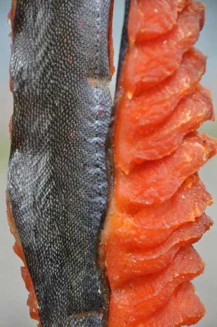 Dried Arctic Char Dried Arctic Char