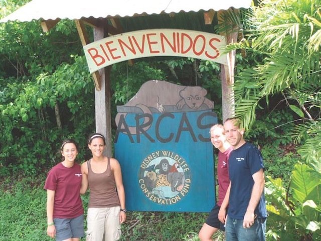 global vets at arcas
