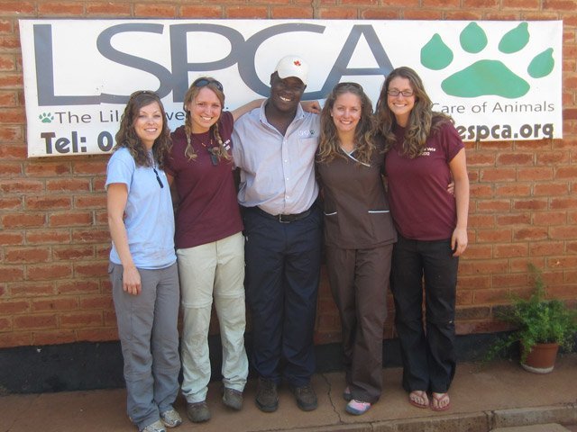 global_vets_lilongwe_wildlife_centre