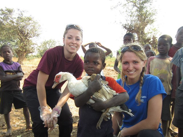 Global Vets Malawi East Africa Global Vets Malawi East Africa