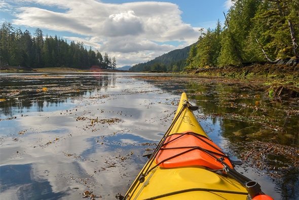kayak