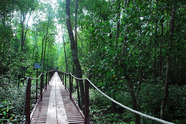 kuala_selangor_nature_park_malaysia kuala selangor nature park malaysia