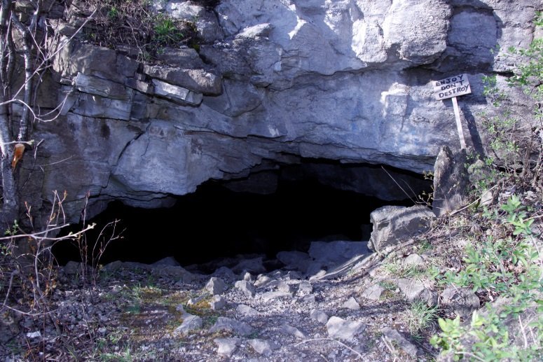 Une vraie grotte de chauves-souris !