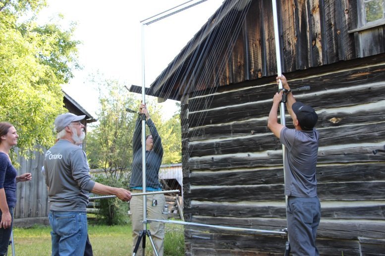 L'équipe installe un piège à harpe près d'un site de nids potentiel.