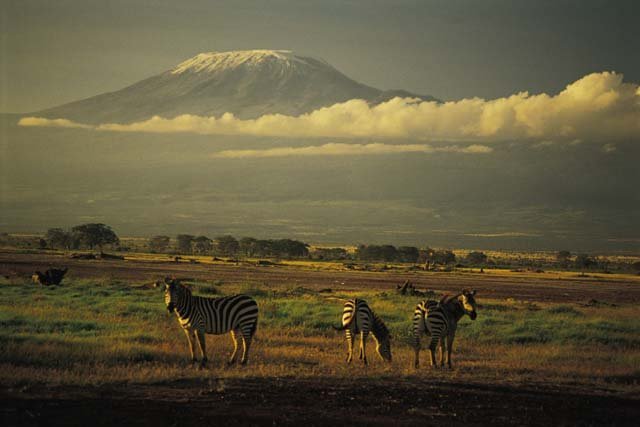 The Tallest Mountain The Tallest Mountain