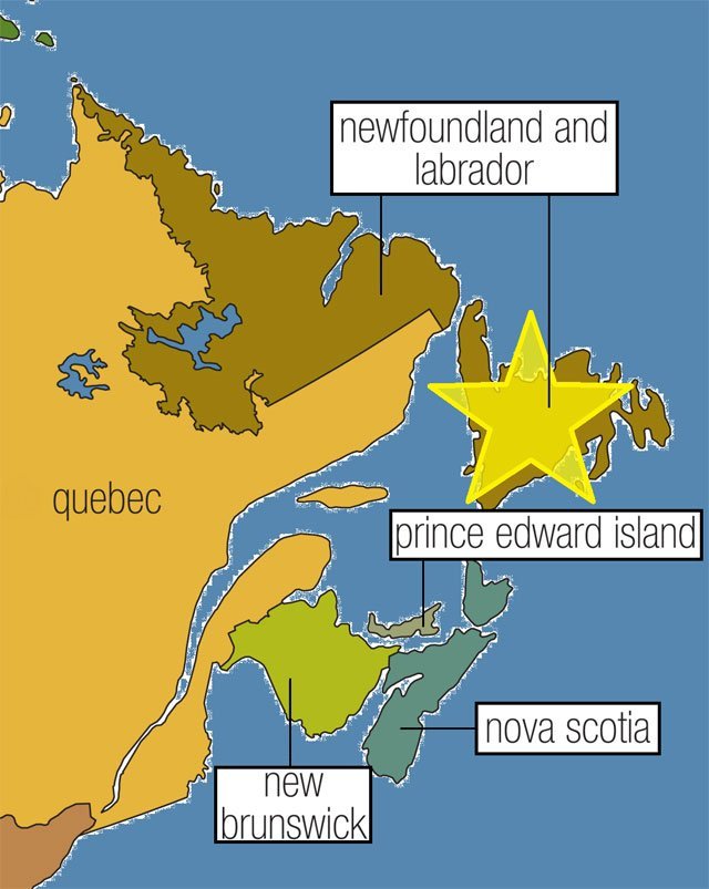 npm_map Newfoundland Pine Marten, Newfoundland