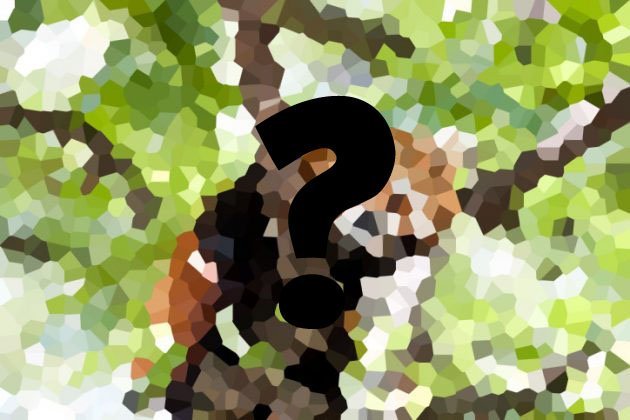 Pixel Puzzler: Guess the Animal, Part 2