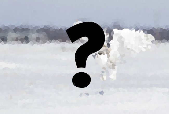Pixel Puzzler #2: Guess the Animal, Part 1