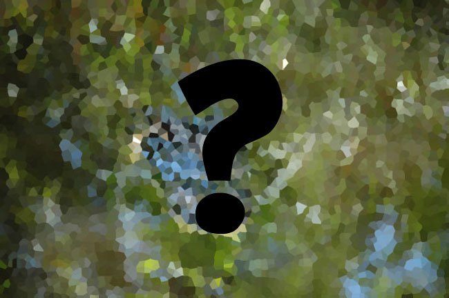 Pixel Puzzler #3: Guess the Animal, Part 1