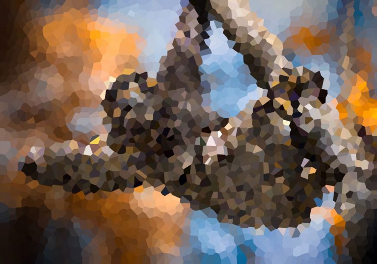 Pixel Puzzler #7: Guess the Animal, Part 1