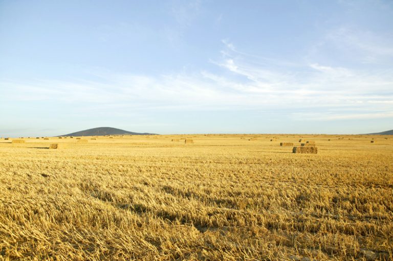 prairies
