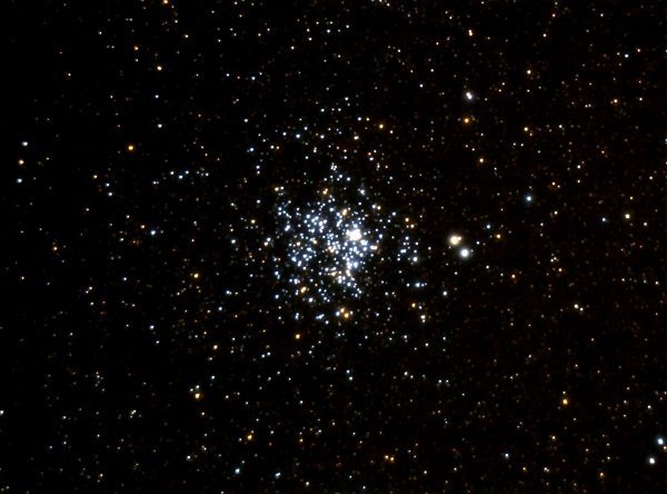 Stellar Cluster M11