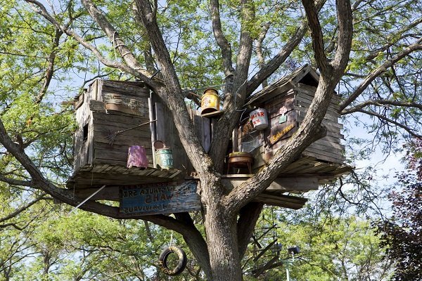 Tree house