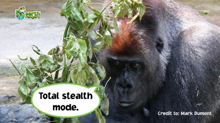 Top 10: Worst Animal Hiding Spots