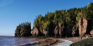 The Bay of Fundy shoreline. Waves are rolling in toward a cove with reddish-brown sand and large funky cliffs with green coniferous trees on top.