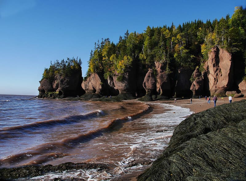 The Bay of Fundy shoreline. Waves are rolling in toward a cove with reddish-brown sand and large funky cliffs with green coniferous trees on top.
