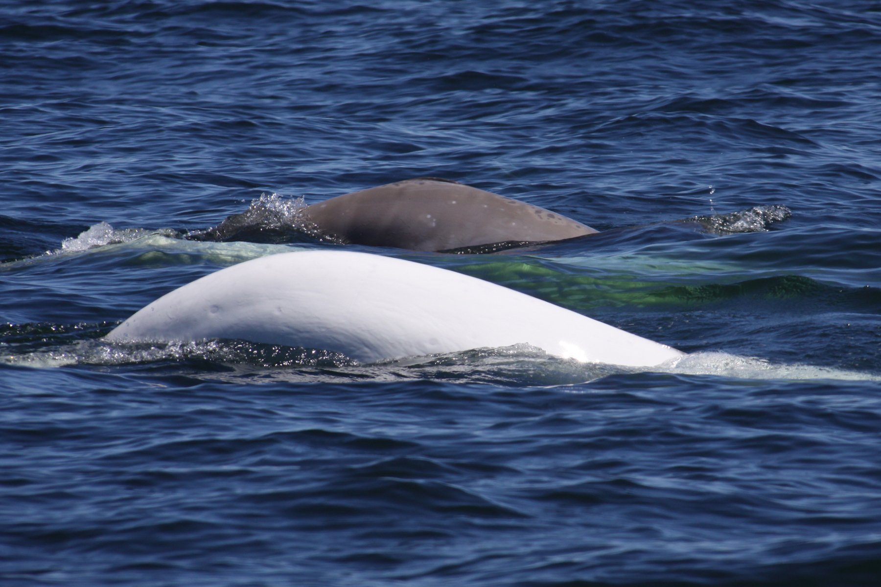 Photo credit: Parks Canada / Catherine Dubé