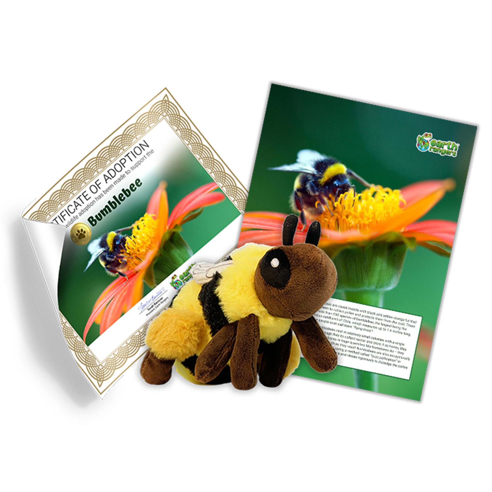 Bumblebee - Earth Rangers