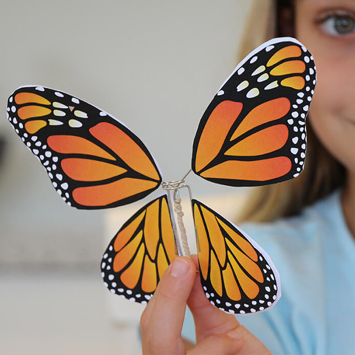 Fluttering Butterfly Craft - Earth Rangers