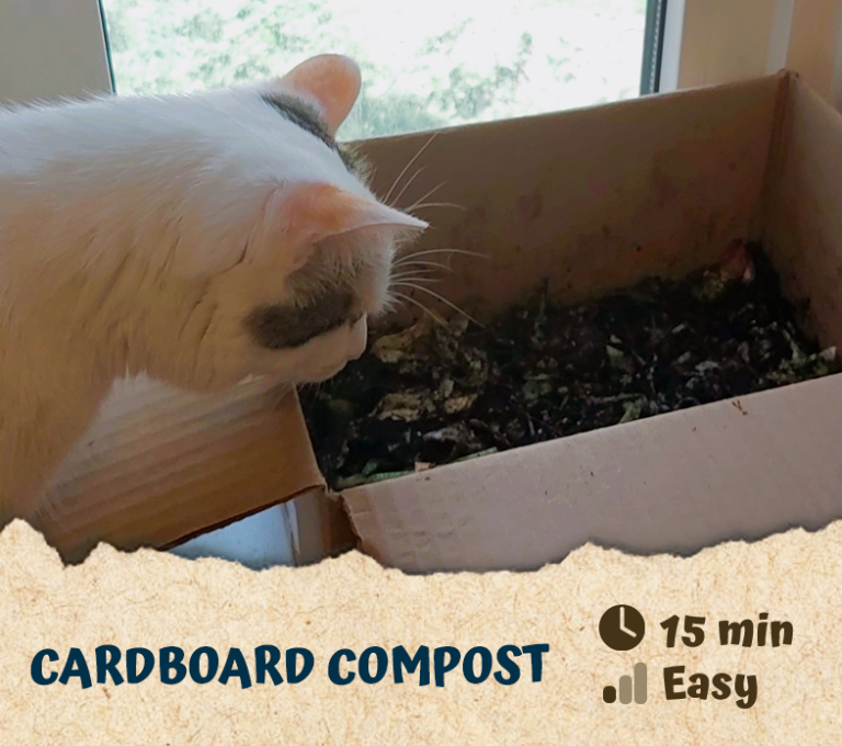 Cardboard Compost