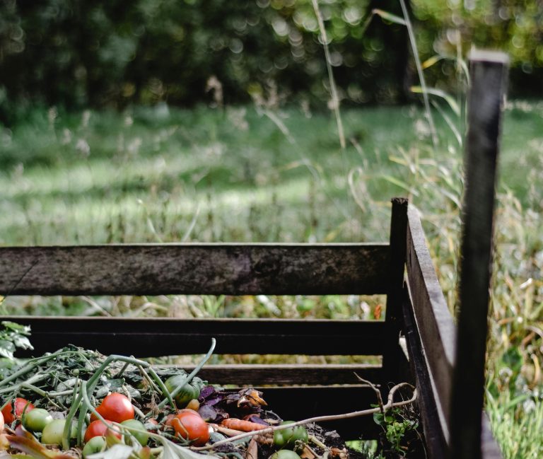 Quiz: Composting as Future Farmers