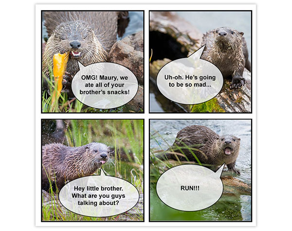 Eco-Activity: Make your own river otter comic strip! - Where kids go to save  animals!