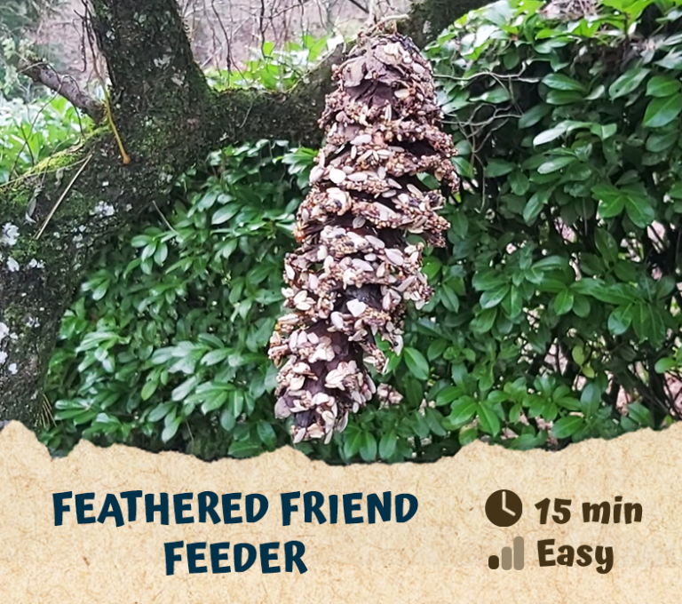 Feathered Friend Feeder