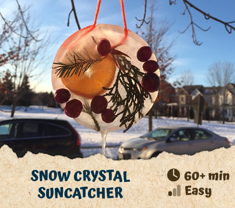 Snow Crystal Suncatcher