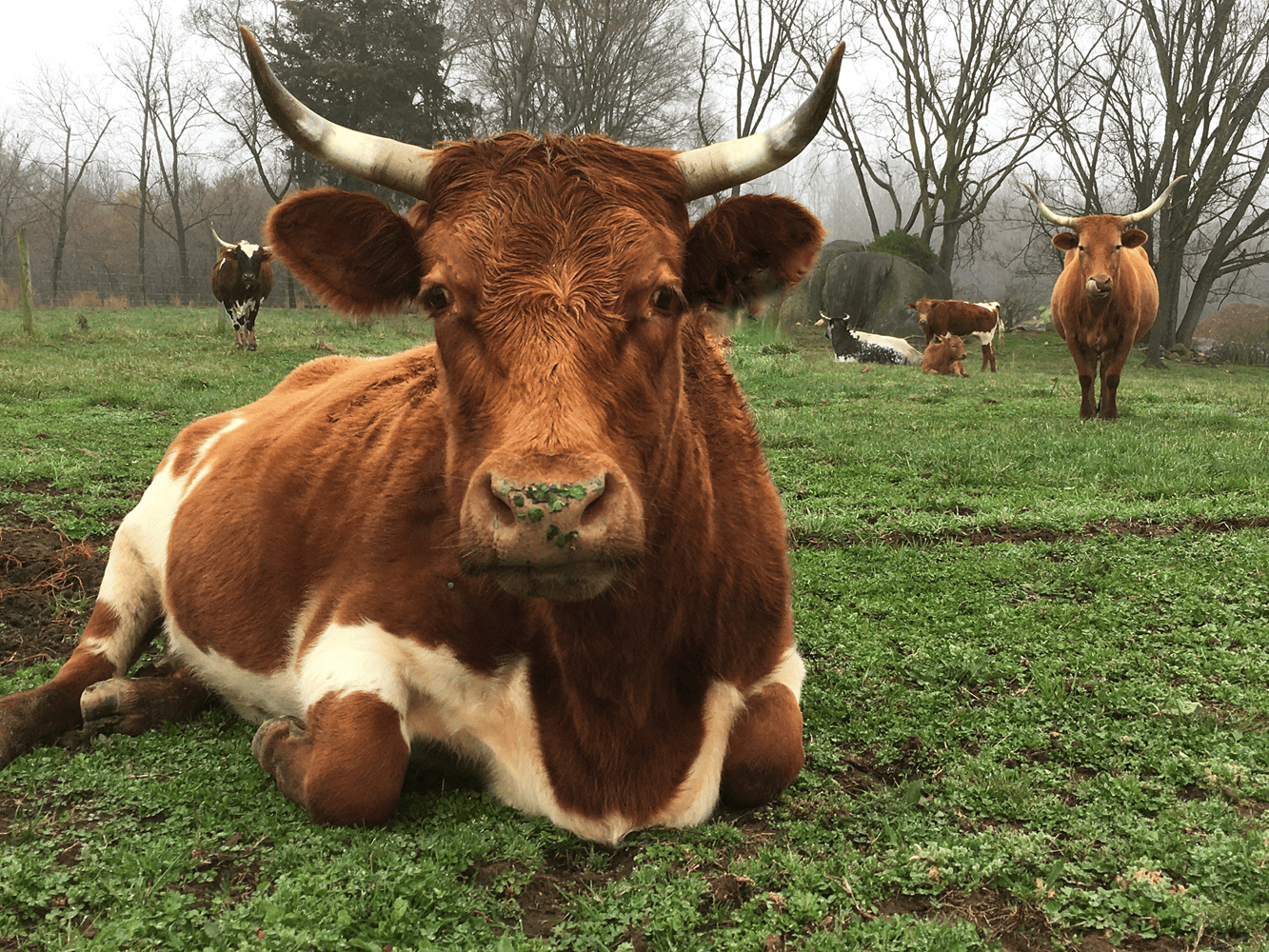 Ready… set… GROW! The Future Farmer Mission is HERE! - Earth Rangers