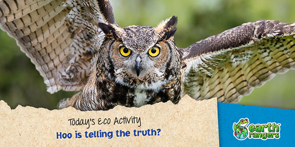 Eco-Activity: Hoo is telling the truth? - Where kids go to save animals!