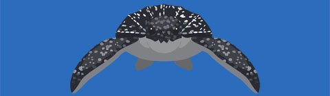 Louie the Leatherback’s Watery Worry