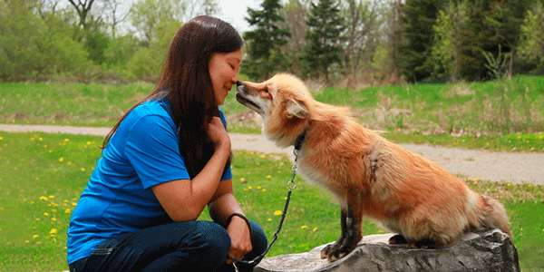 Lisa Grant with animal ambassador