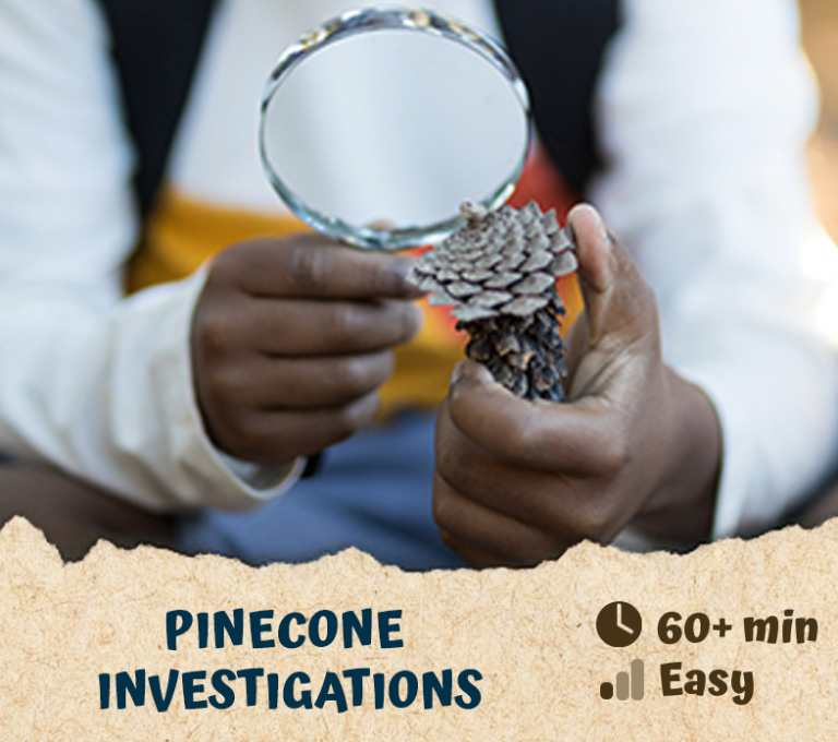 Pinecone Investigations