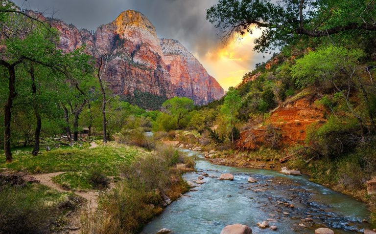 Ultimate Guide to National Parks: Zion