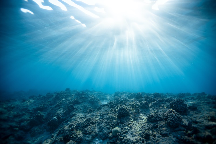 Quiz: Oceans and Climate Change