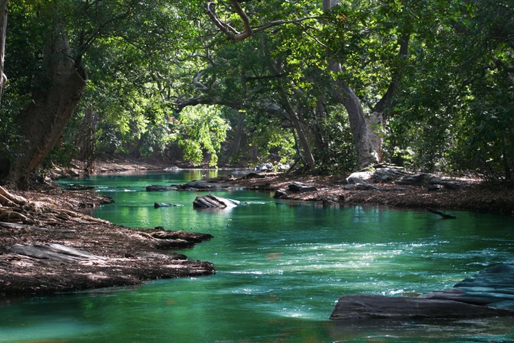 Quiz: Freshwater and Climate Change