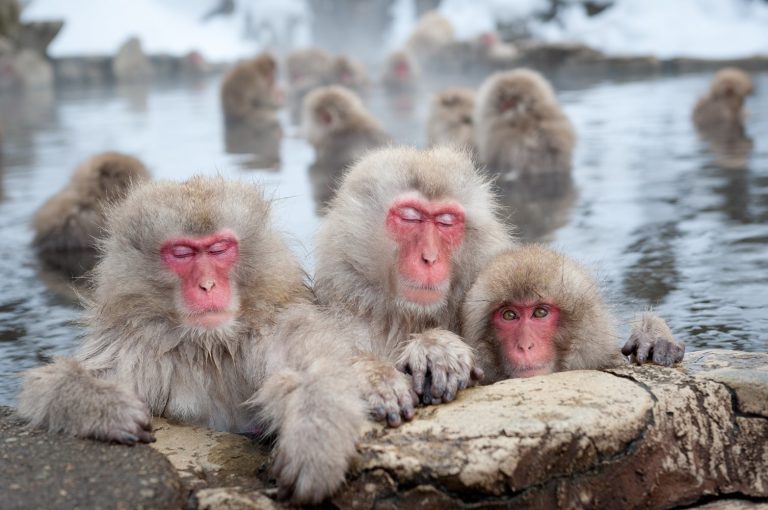 The Soothing Geothermal Baths