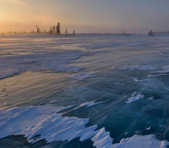 Ultimate Guide to National Parks: Wapusk