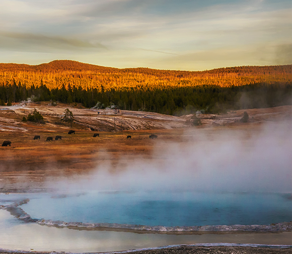 Ultimate Guide to National Parks: Yellowstone