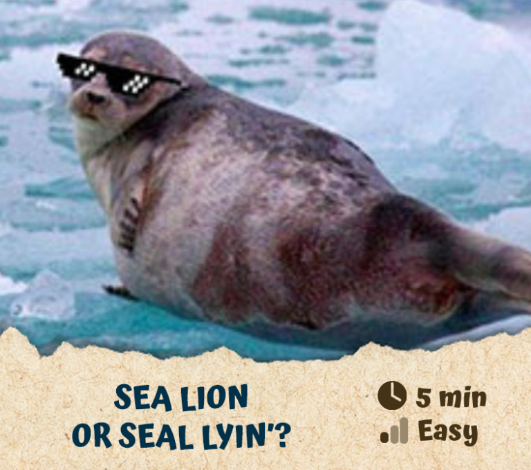 Sea Lion or Seal LYIN’?