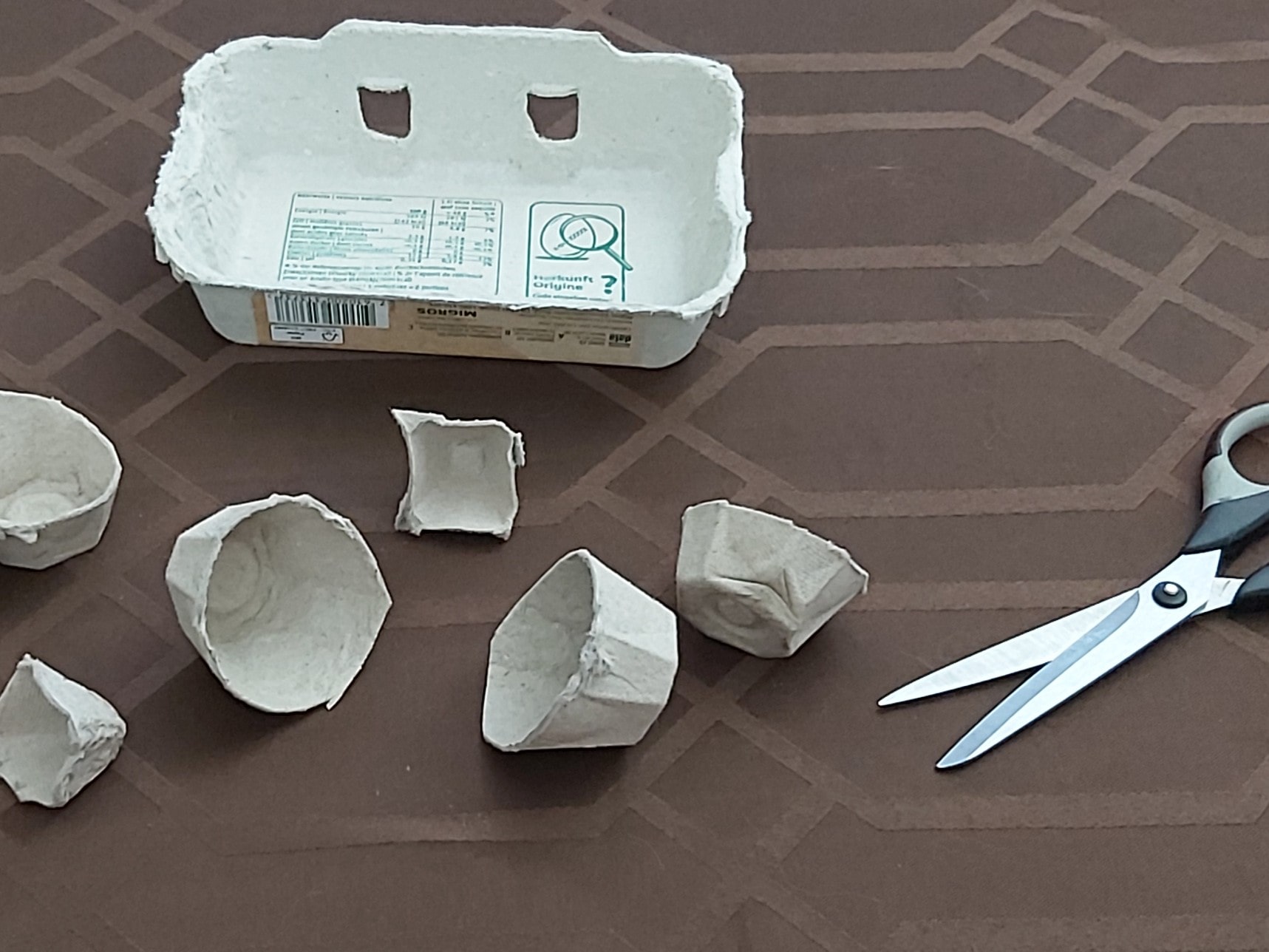 Egg Carton Fish Earth Rangers