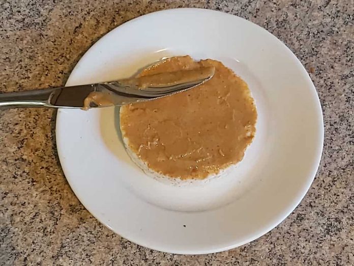 Rice Cake Owls Earth Rangers