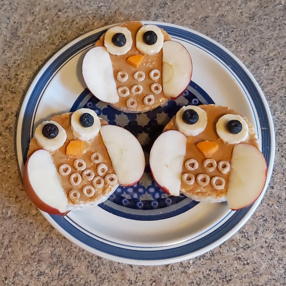 Rice Cake Owls - Earth Rangers