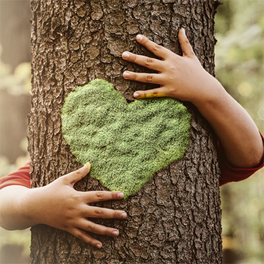 TreeHugger