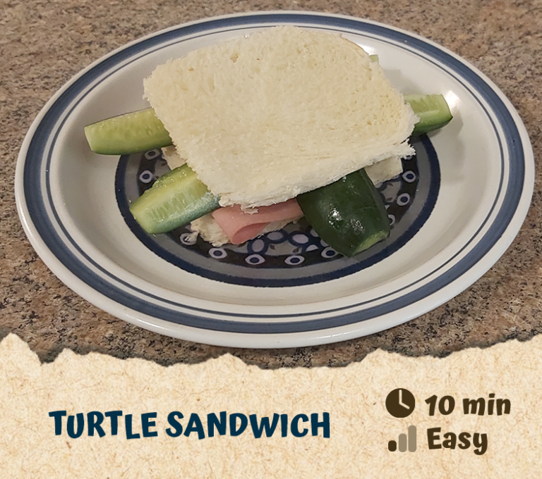 Turtle Sandwich